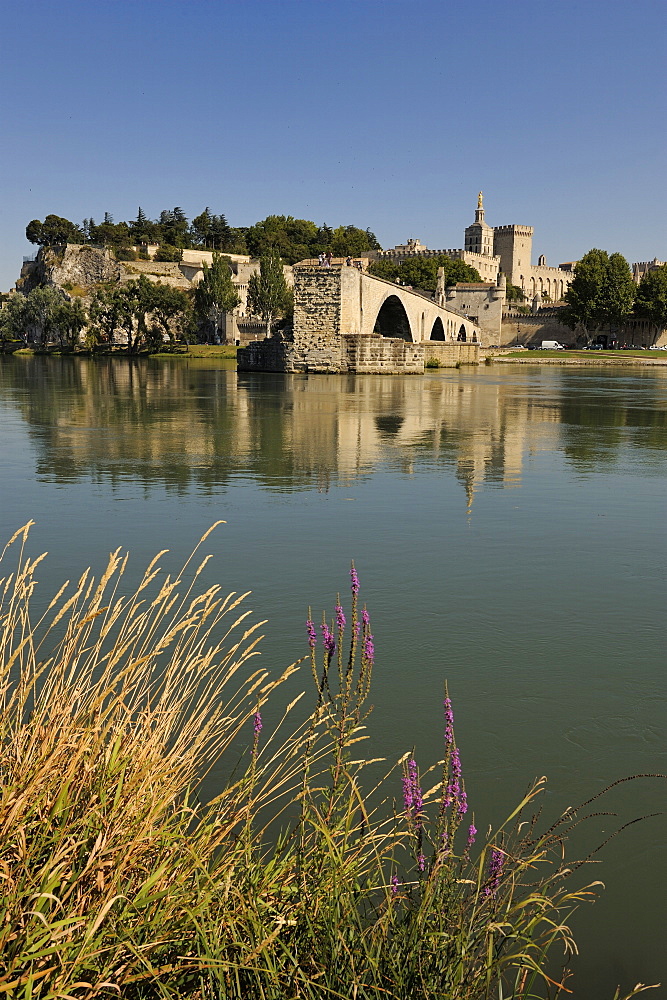 Pont Saint-Benezet and Avignon city viewed from across the River Rhone, Avignon, Provence, France, Europe