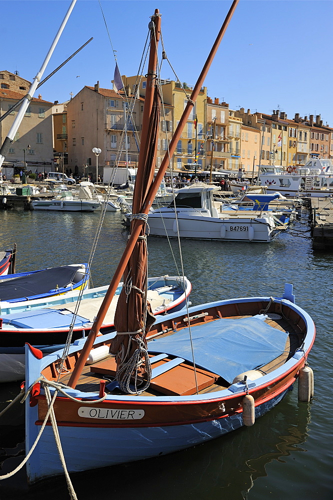 Fishing boats in Vieux Port harbour, St. Tropez, Var, Provence, Cote d'Azur, France, Mediterranean, Europe