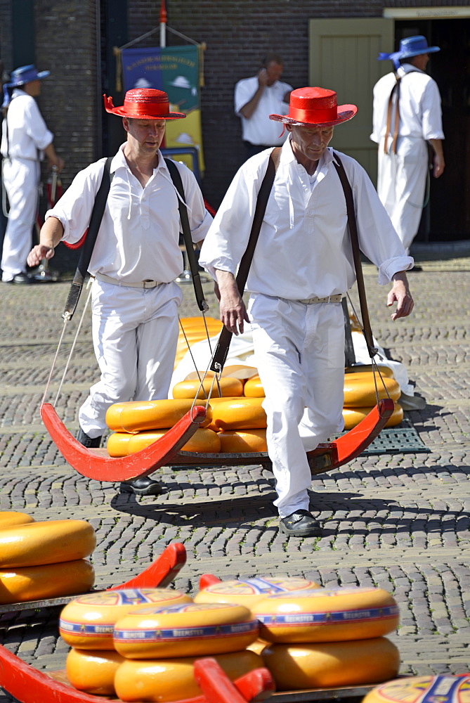 Cheese porters carrying cheese wheels on wooden sledges at the Friday Cheese Market, Waagplein Square, Alkmaar, North Holland, Netherlands, Europe