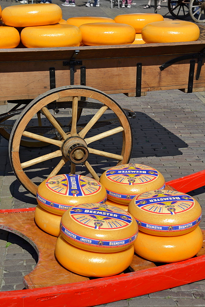 Cheese wheels on a wooden sledge beside a traditional wooden cart, Waagplein Square, Alkmaar, North Holland, Netherlands, Europe