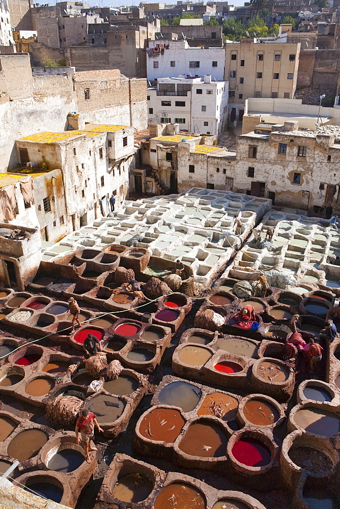 Tannery, Fez, UNESCO World Heritage Site, Morocco, North Africa, Africa