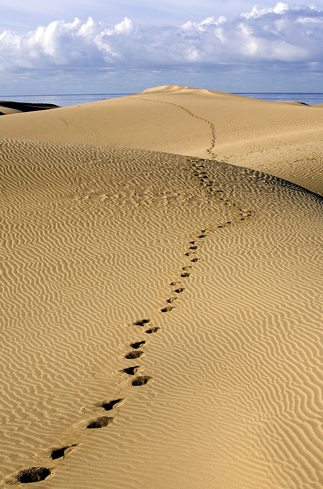 Maspalomas dunes, Gran Canaria, Canary Islands, Spain, Europe