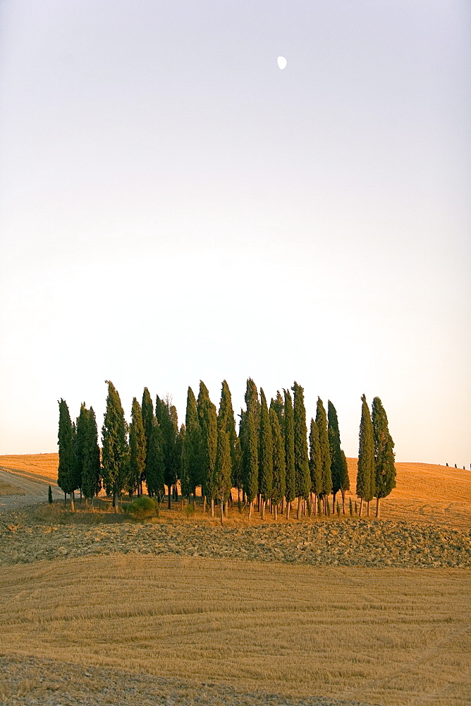 Val d'Orcia, Tuscany, Italy, Europe