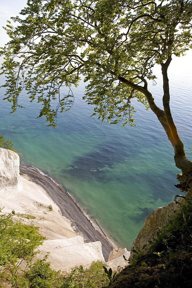 Mons Klint, South Zealand, Denmark, Scandinavia, Europe