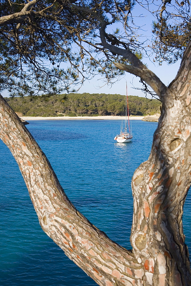 Natural park Cala Mondrago, Santanyi, Majorca, Balearic Islands, Spain, Mediterranean, Europe