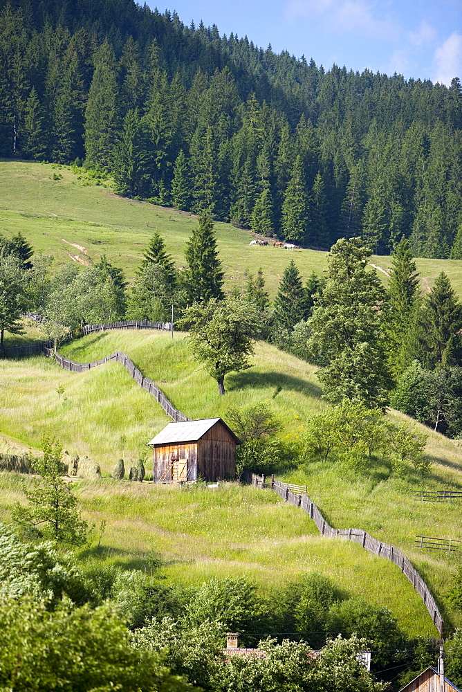 Countryside near Suceava, Bucovina, Romania, Europe