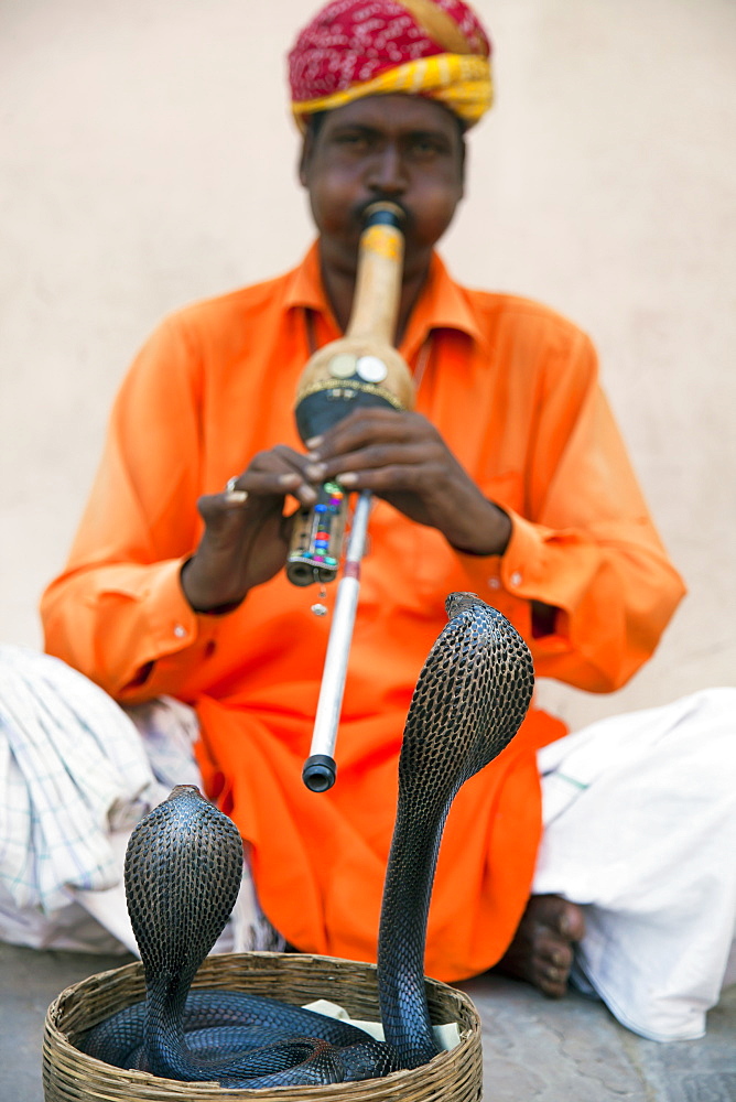 Cobra snake charmer outside the City Palace, Jaipur, Rajasthan, India, Asia