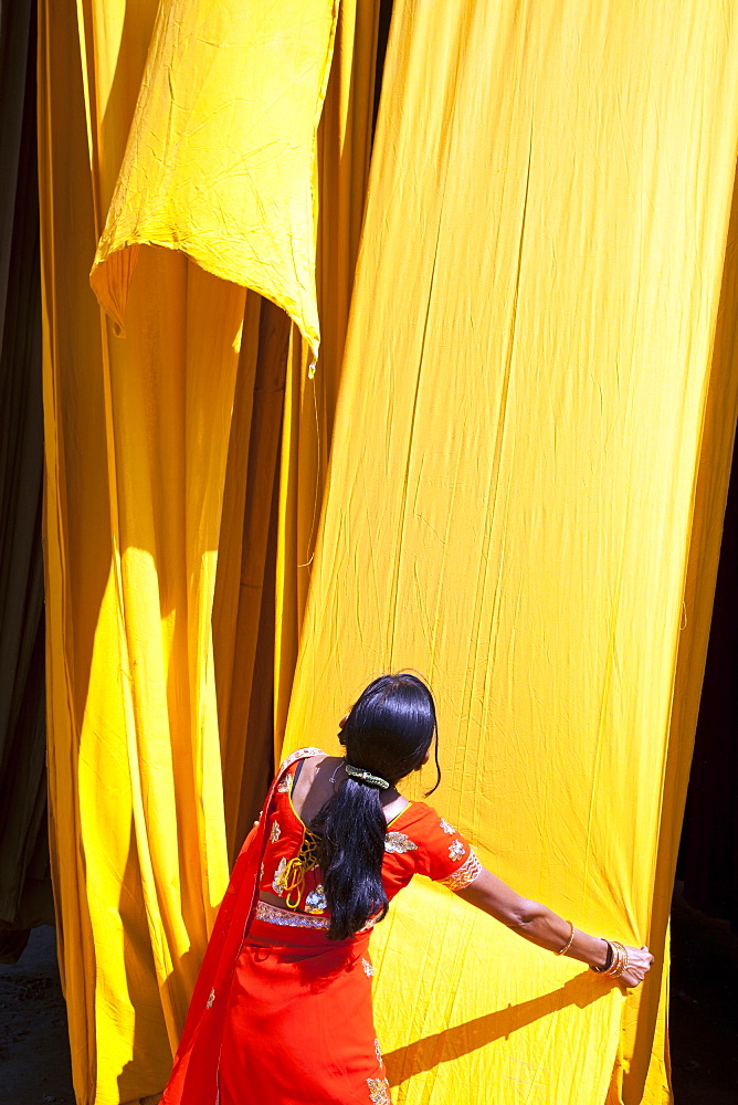 Woman in sari checking the quality of freshly dyed fabric hanging to dry, Sari garment factory, Rajasthan, India, Asia