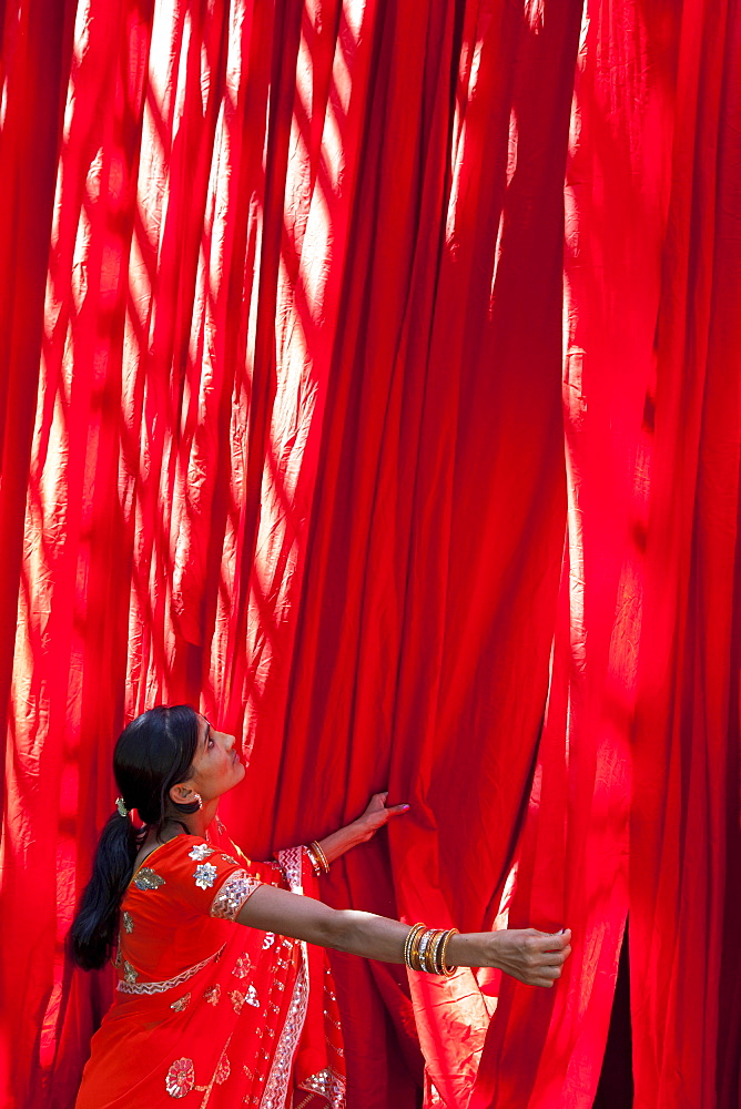 Woman in sari checking the quality of freshly dyed fabric hanging to dry, Sari garment factory, Rajasthan, India, Asia