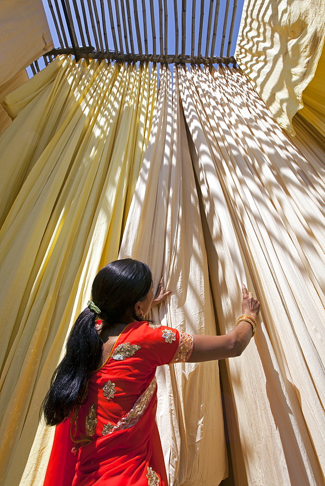 Woman in sari checking the quality of freshly dyed fabric hanging to dry, Sari garment factory, Rajasthan, India, Asia