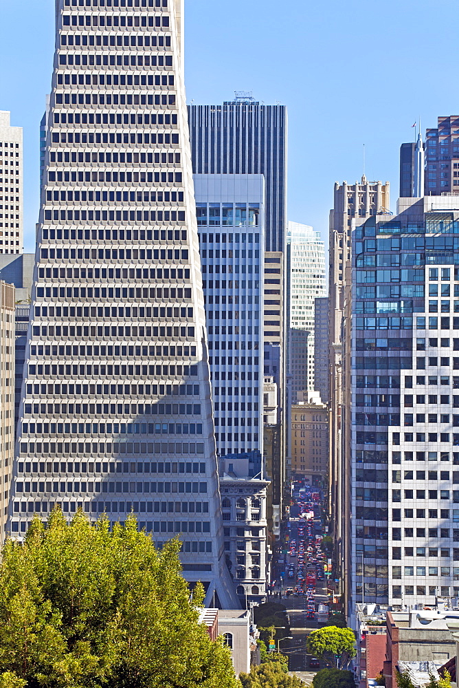 Trans America Building, San Francisco, California, United States of America, North America