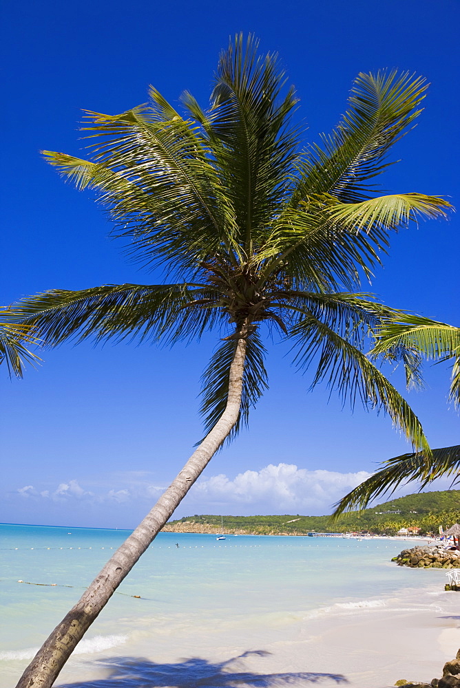 Dickenson Bay Beach, the largest and most famous beach on the island, Antigua, Leeward Islands, West Indies, Caribbean, Central America