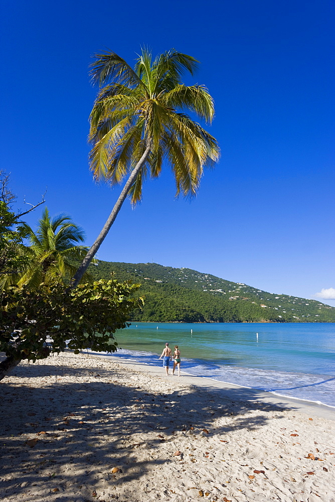 Palms and beach at Magens Bay, the most famous beach on St. Thomas, St. Thomas, U.S. Virgin Islands, West Indies, Caribbean, Central America