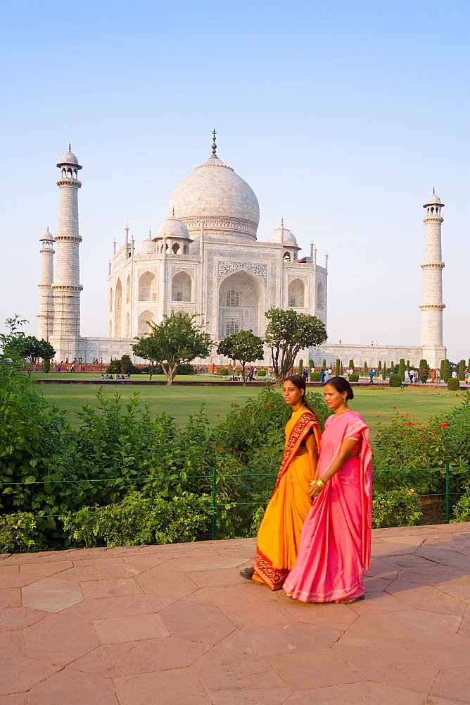 The Taj Mahal, UNESCO World Heritage Site, Agra, Uttar Pradesh, India, Asia 