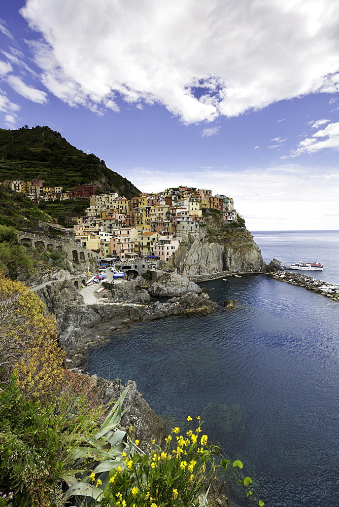 Manarola, Cinque Terre, UNESCO World Heritage Site, Liguria, Italy, Europe