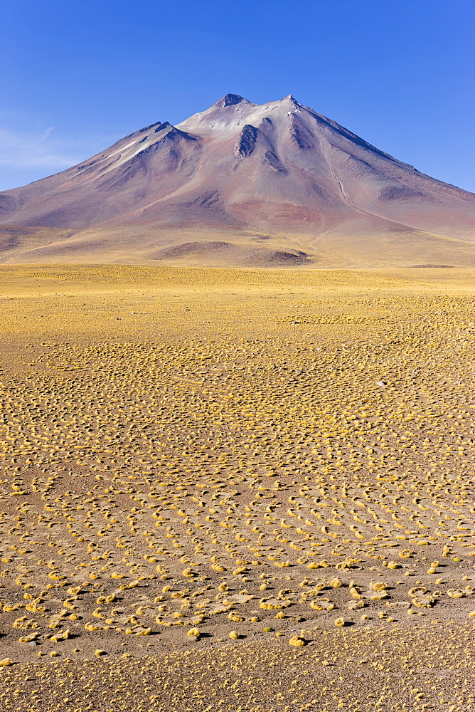 The altiplano at an altitude of over 4000m and the peak of Cerro Miniques at 5910m, Los Flamencos National Reserve, Atacama Desert, Antofagasta Region, Norte Grande, Chile, South America