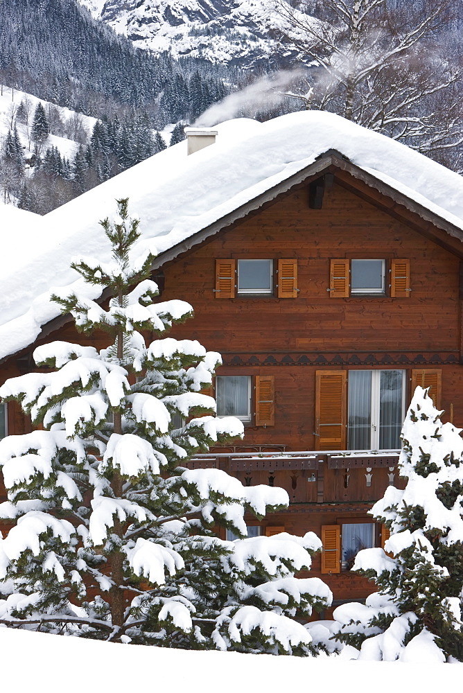 Grindelwald, typical Swiss style Chalets, Jungfrau region, Bernese Oberland, Swiss Alps, Switzerland, Europe