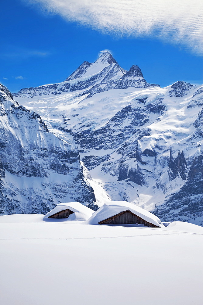 Partially buried buildings on the ski slopes in front of the Schreckhorn mountain, 4078m, Grindelwald, Jungfrau region, Bernese Oberland, Swiss Alps, Switzerland, Europe