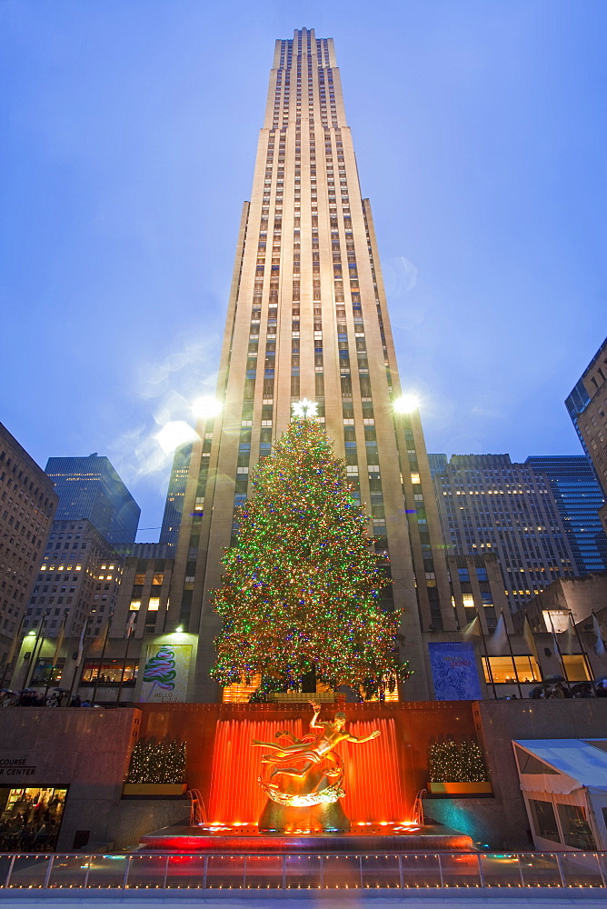 Christmas tree in front of the Rockefeller Centre building on Fifth Avenue, Manhattan, New York City, New York, United States of America, North America