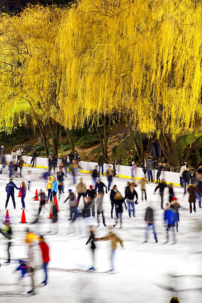 Wollman Ice rink in Central Park, Manhattan, New York City, New York, United States of America, North America