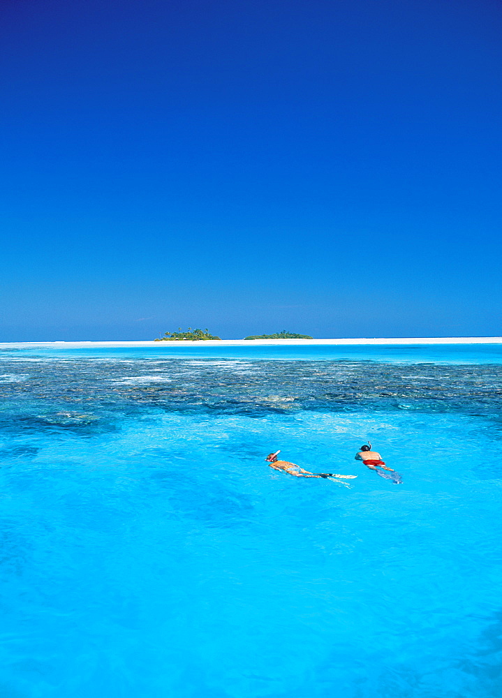 Couple snorkelling in the Maldives, Indian Ocean, Asia