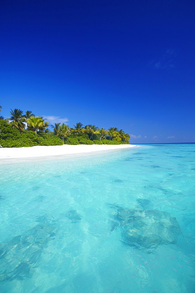 Tropical beach and lagoon, Maldives, Indian Ocean, Asia