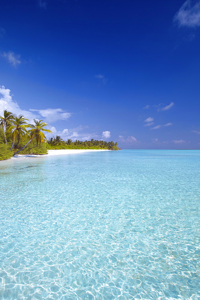 Tropical beach and lagoon, Maldives, Indian Ocean, Asia