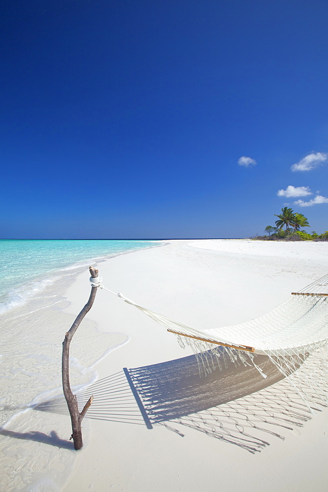 Hammock on tropical beach, Maldives, Indian Ocean, Asia