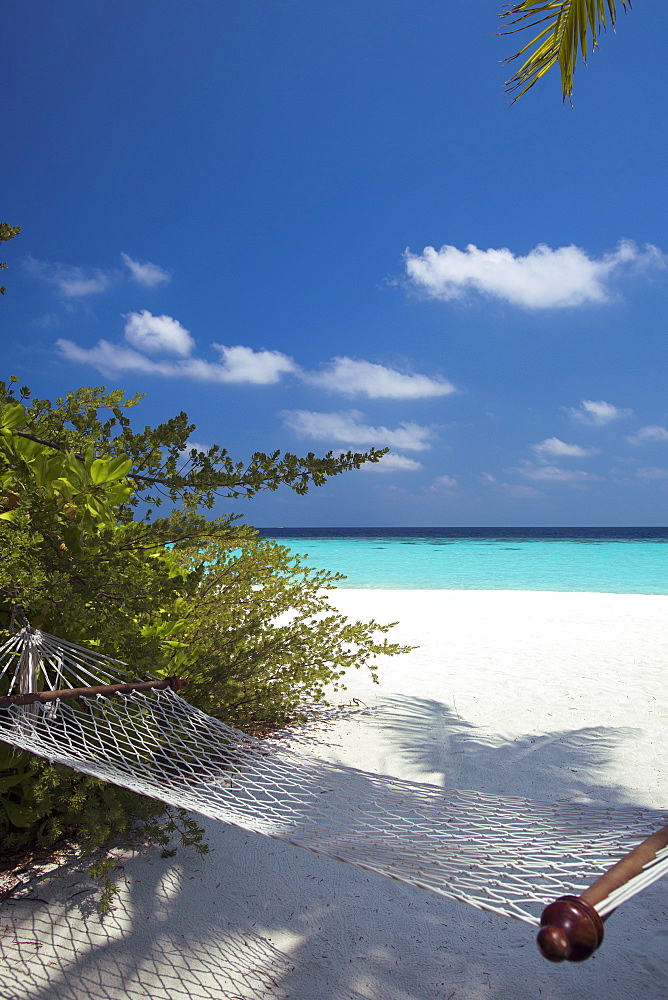 Hammock on tropical beach, Maldives, Indian Ocean, Asia 