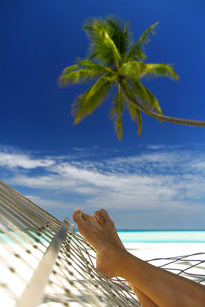 Hammock and palm tree, Maldives, Indian Ocean, Asia