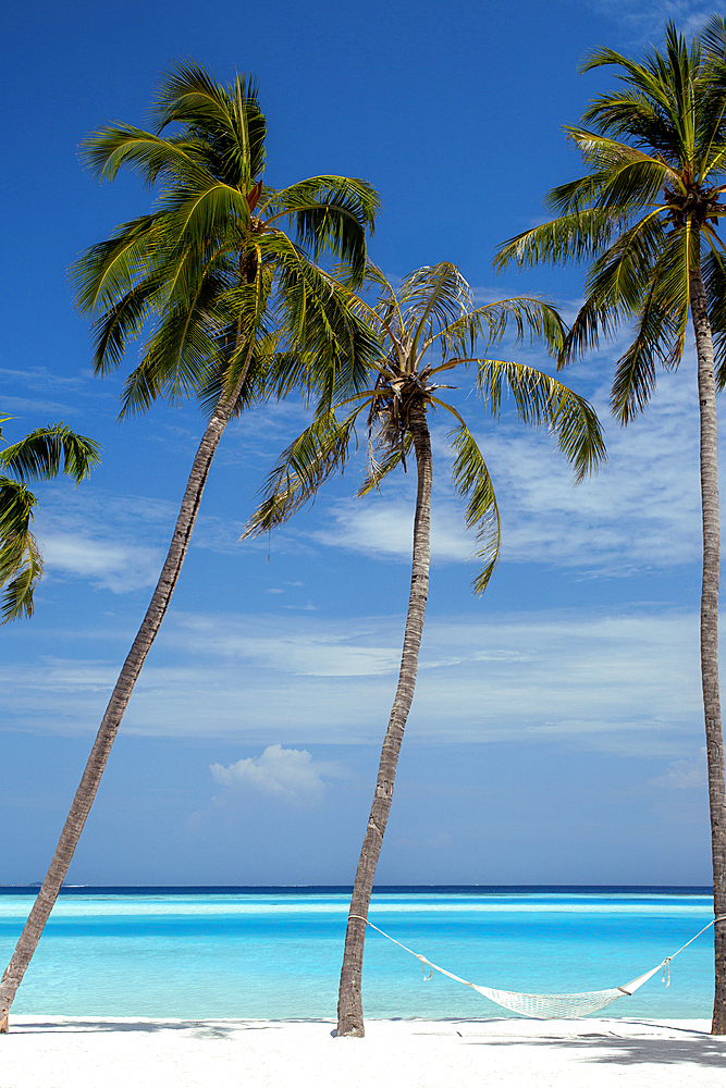 Relaxing hammock between palm trees on tropical beach