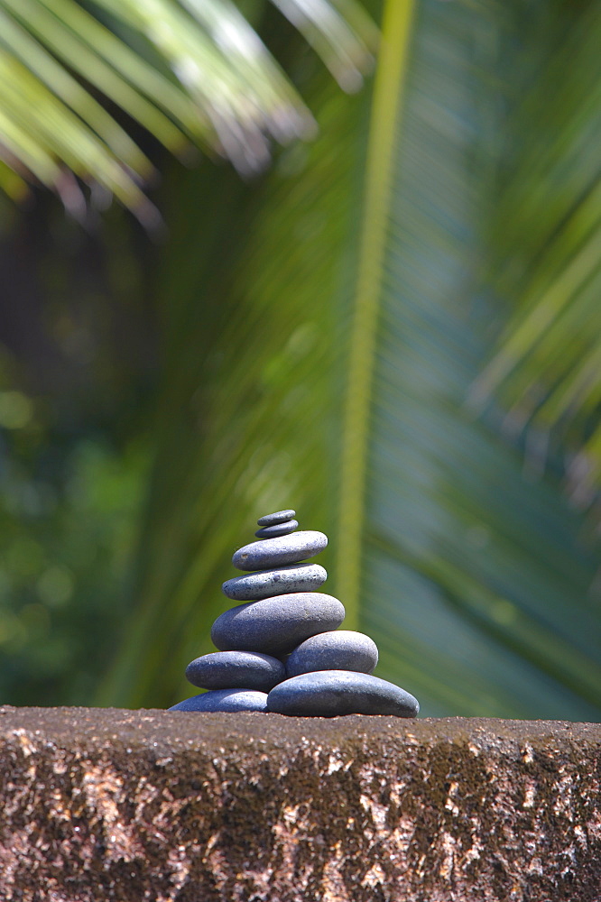 Stones balanced on rock, palm trees in background, Maldives, Indian Ocean, Asia