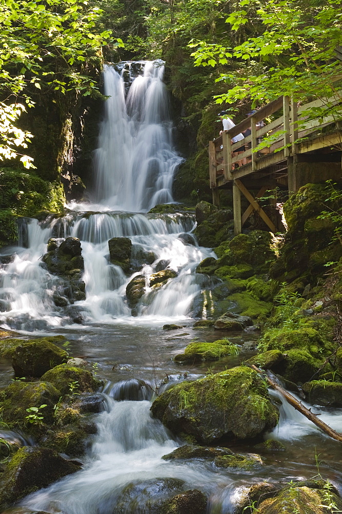 Dickson Falls in Fundy National Park, New Brunswick, Canada, North America