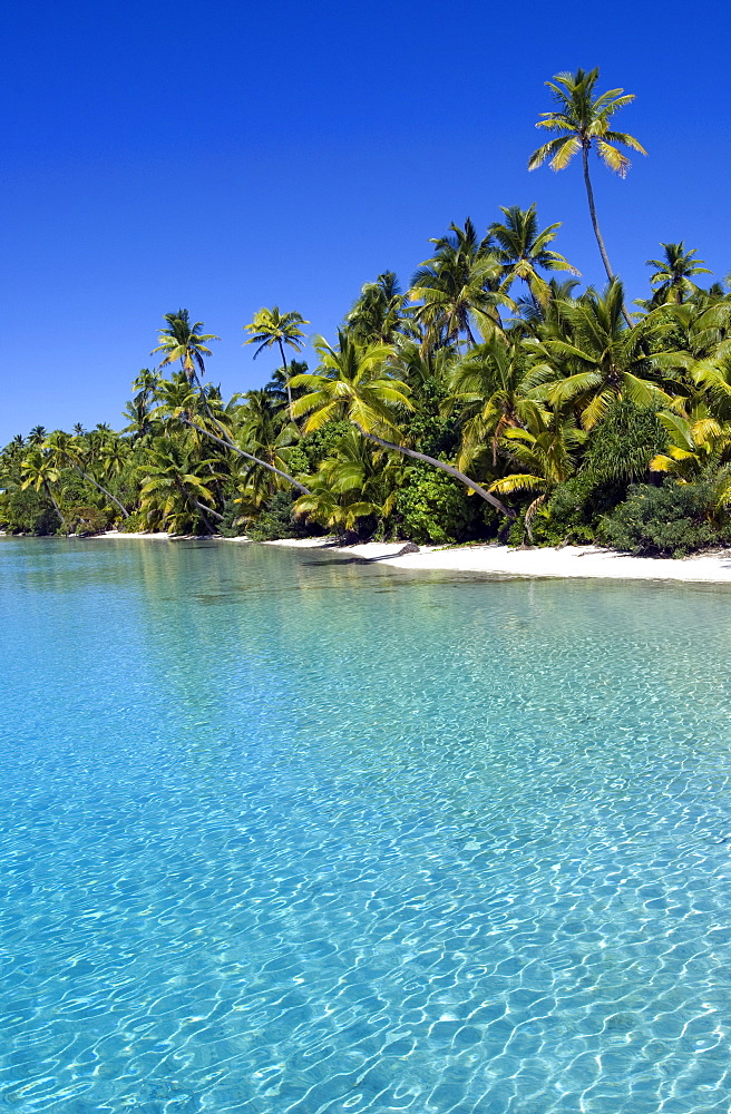 Palm fringed beaches, Cook Islands, South Pacific, Pacific