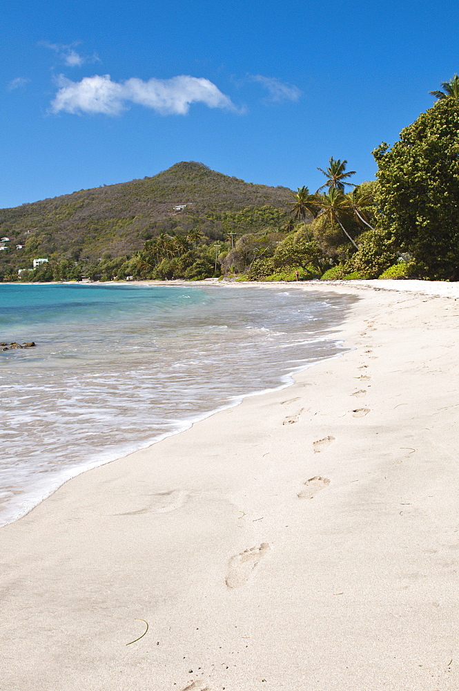 Friendship Bay beach, Bequia, St. Vincent and The Grenadines, Windward Islands, West Indies, Caribbean, Central America