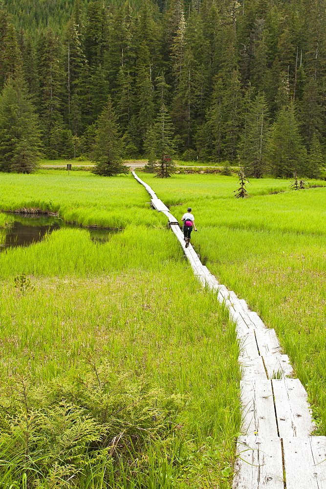 Hiking in the Ideal Cove area of Southeast Alaska, Alaska, United States of America, North America