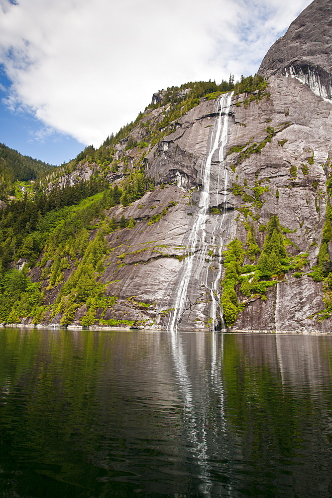 Walker Cove area of Misty Fjords National Monument Wilderness Area, Southeast Alaska, Alaska, United States of America, North America