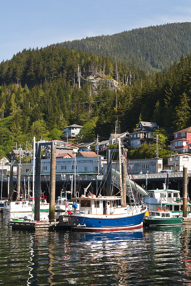 Fishing boats in Ketchikan harbor, Ketchikan, Southeast Alaska, United States of America, North America