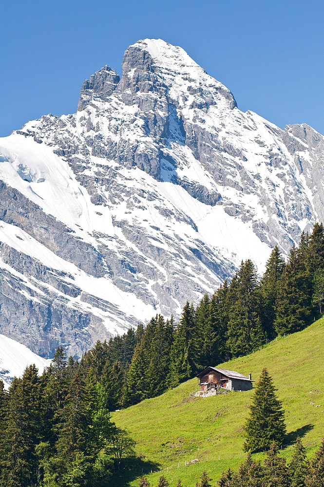 Jungfrau massif and Swiss chalet near Murren, Jungfrau Region, Switzerland, Europe