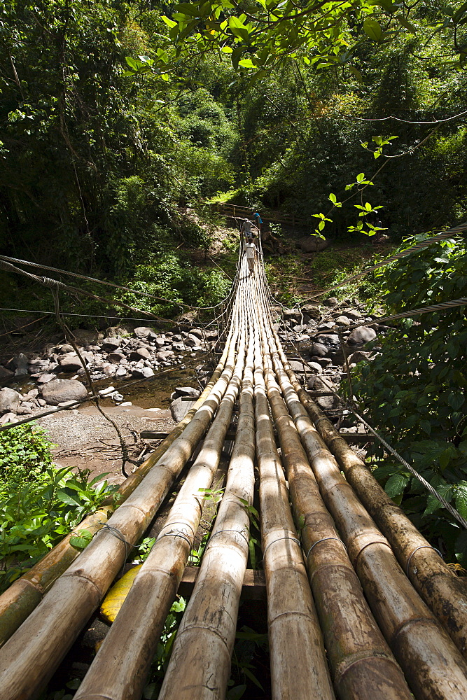 Bamboo bridge at Dark View Falls, St. Vincent and The Grenadines, Windward Islands, West Indies, Caribbean, Central America