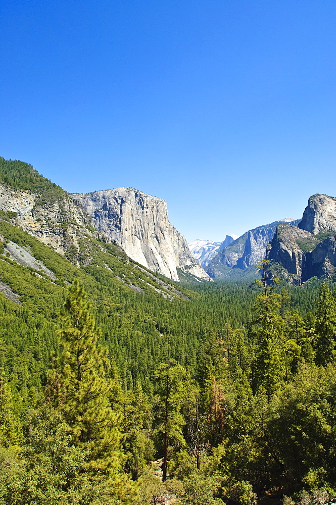 El Capitan and Yosemite Valley, Yosemite National Park, UNESCO World Heritage Site, California, United States of America, North America