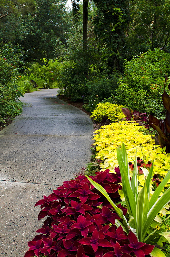 Harry P. Leu Gardens, Orlando, Florida, United States of America, North America