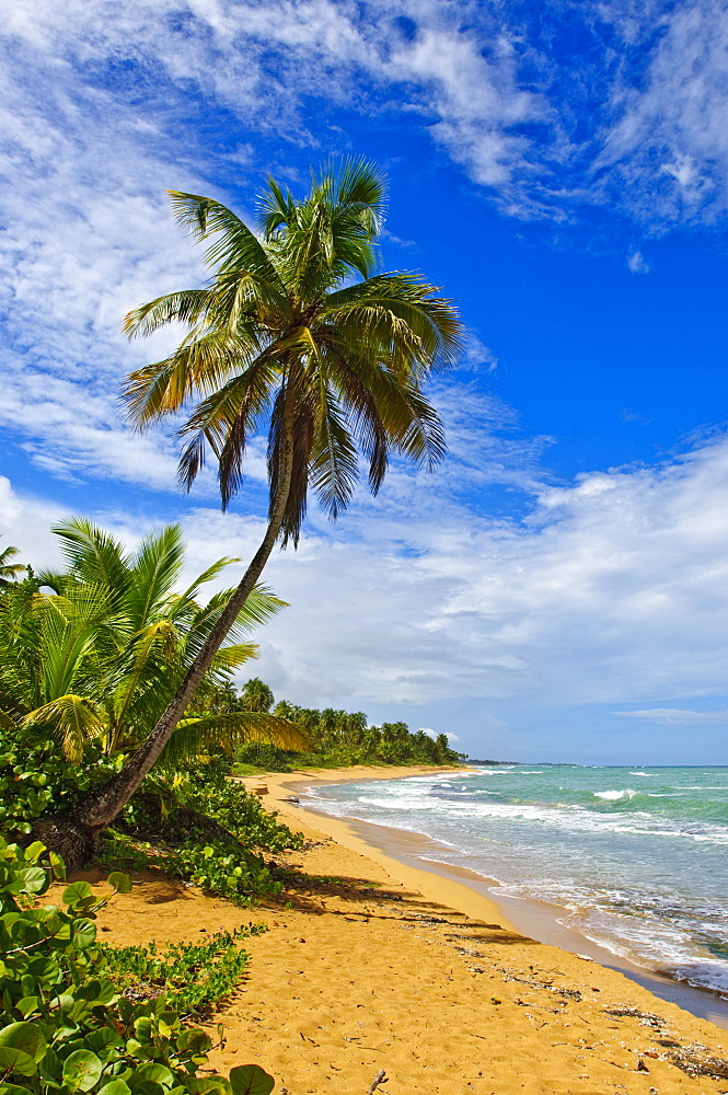 Tres Palmitas Beach, Puerto Rico, West Indies, Caribbean, Central America