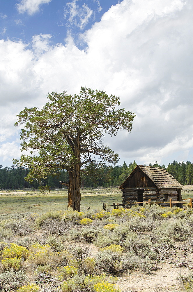 Van Dusen Cabin Bellville, Big Bear Lake, California, United States of America, North America 