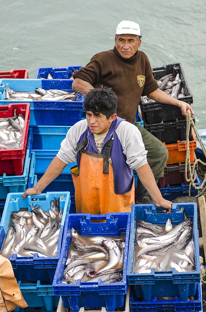 Sardine fishermen in Los Organos village near Mancora, Peru, South America