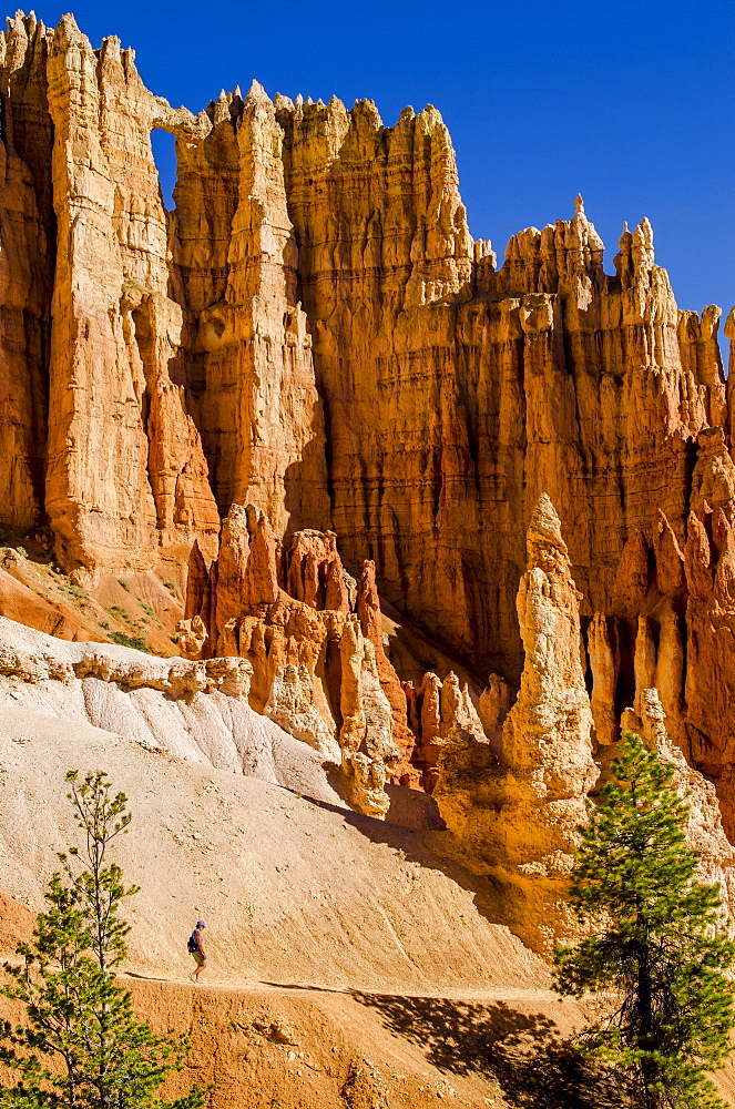 Hiking in Bryce Canyon National Park Utah, United States of America, North America