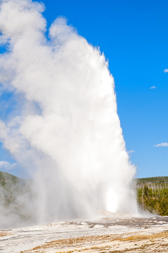 Old Faithful Geyser, Yellowstone National Park, UNESCO World Heritage Site, Wyoming, United States of America, North America