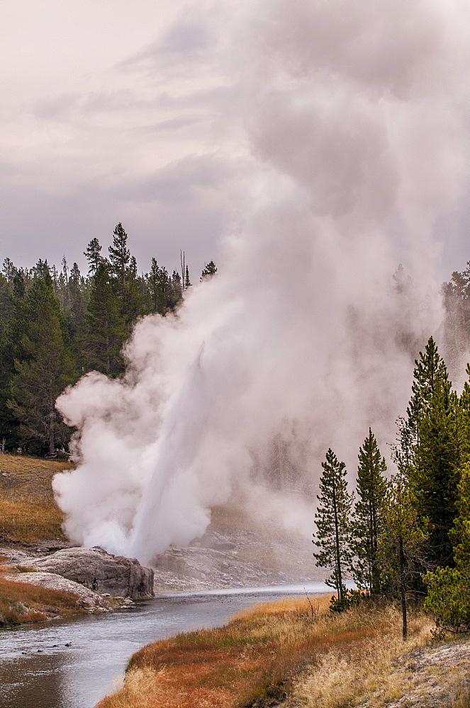 Riverside Geyser, Upper Geyser Basin Yellowstone National Park, UNESCO World Heritage Site, Wyoming, United States of America, North America