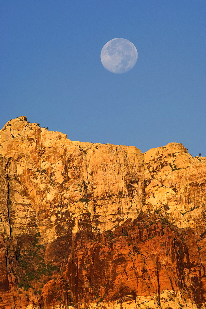 Red Rock Canyon National Conservation Area, Las Vegas, Nevada, United States of America, North America