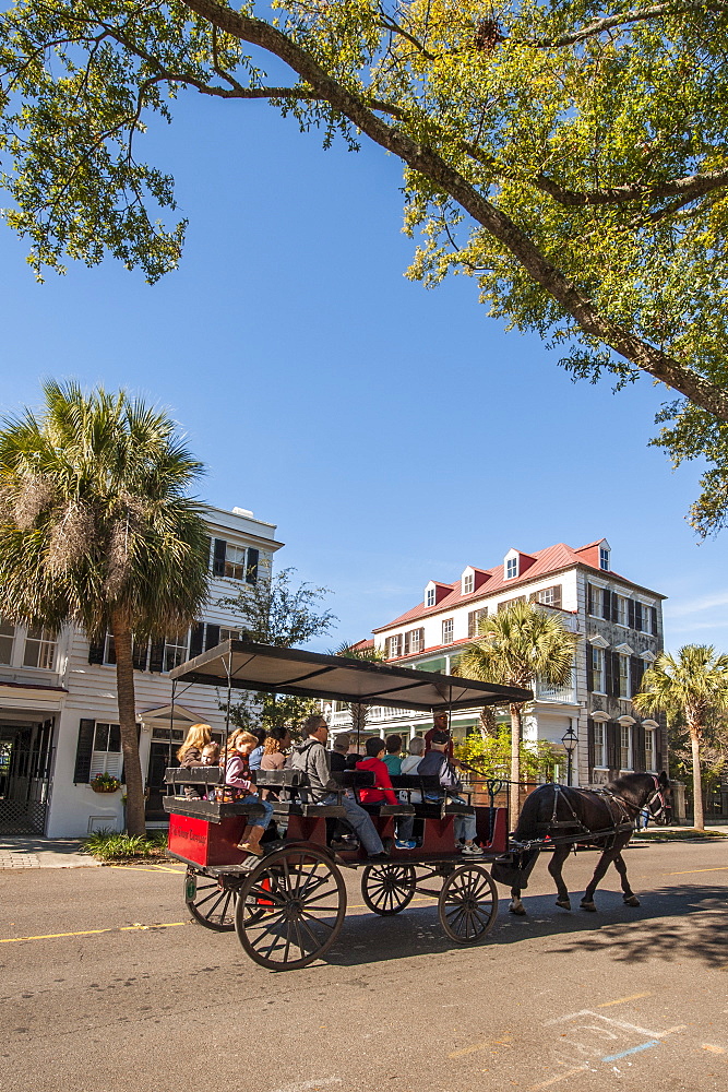 Horse and carriage ride on Bay Street, Charleston, South Carolina, United States of America, North America